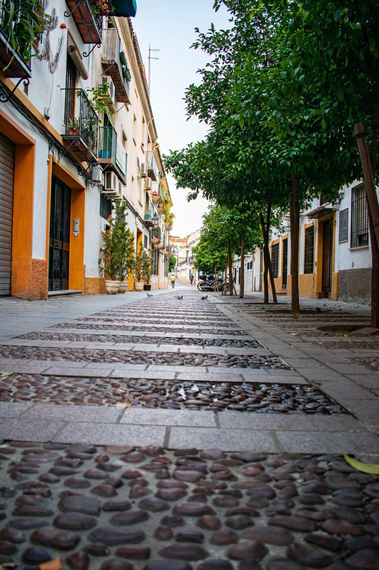 Alojamiento Entero, Centro De Cordoba Con Cochera Exterior photo